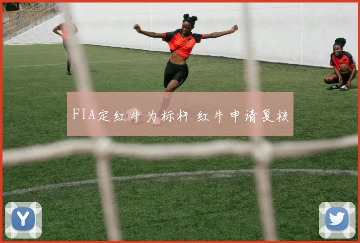 FIA定红牛为标杆 红牛申请复核
